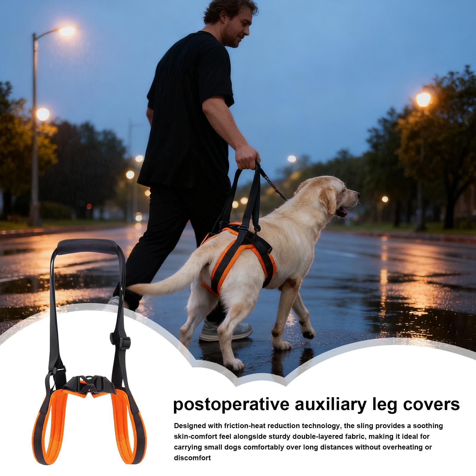 Dog Lift Harness Adjustable St - Ladder Toss Set recensione e prezzo