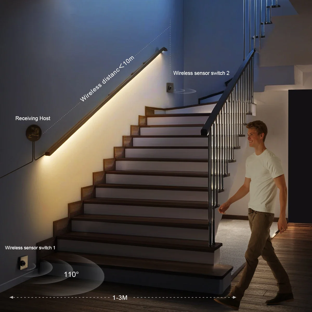 Dual Wireless Moveable PIR Mot - Ladder Toss Set recensione e prezzo